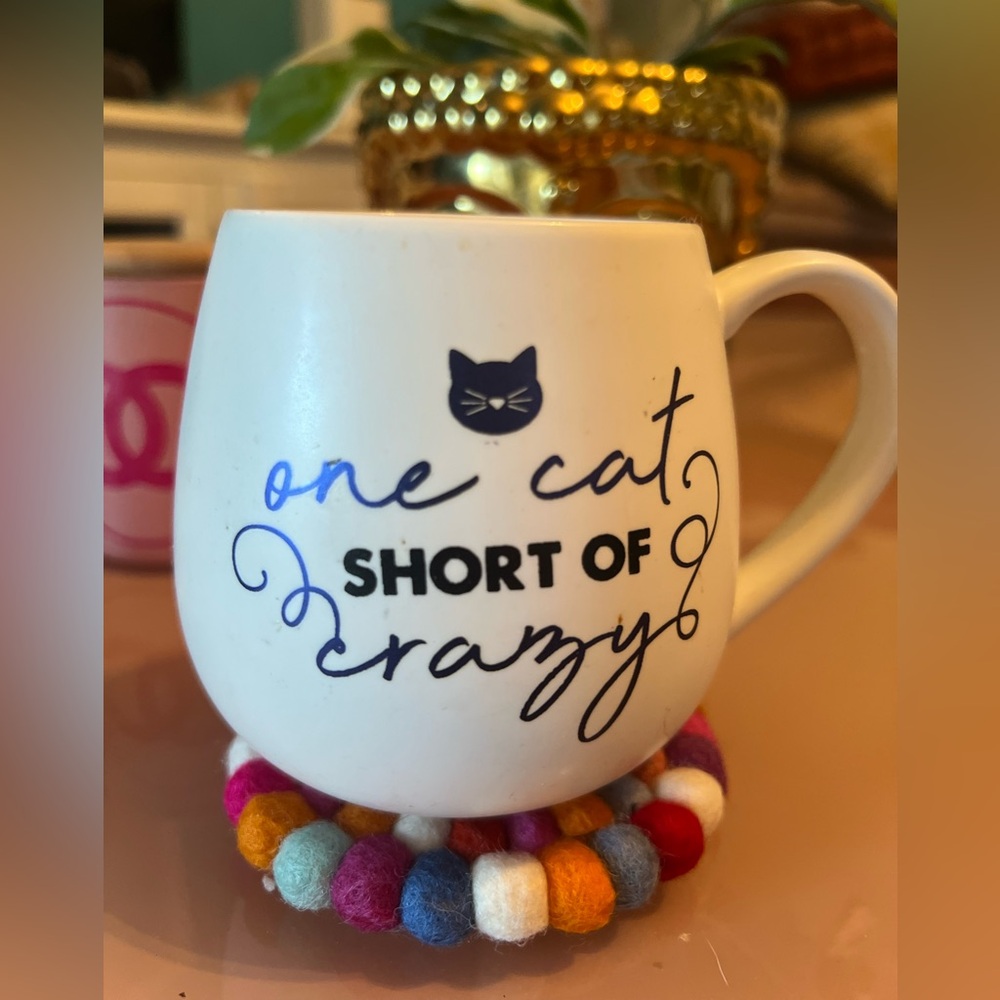 New Cat-Themed Mug